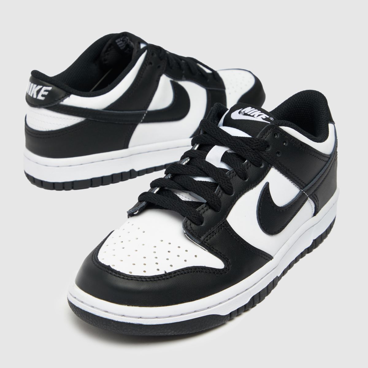 Dunk Low Replacement Laces
